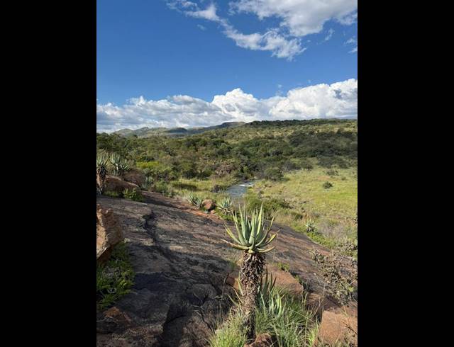 FARM FOR SALE IN GROBLERSDAL RURAL